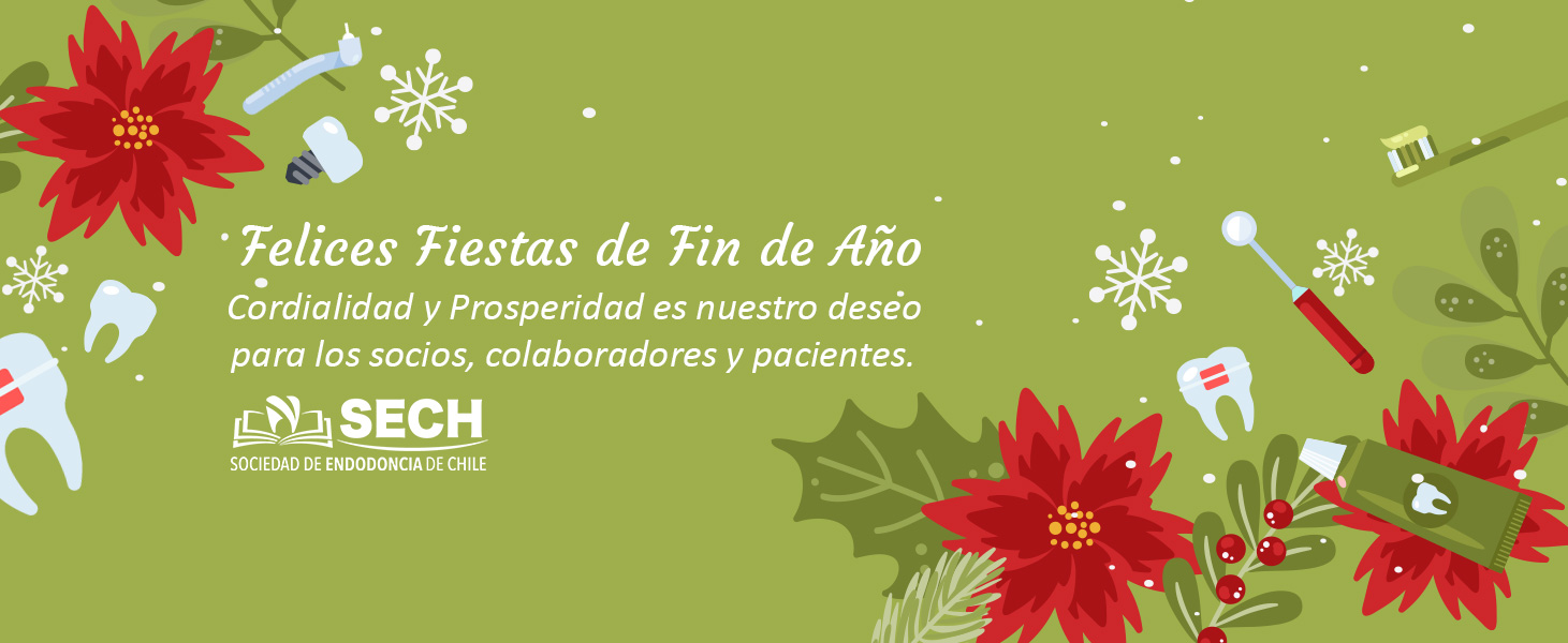 Felices Fiestas de Fin de Año