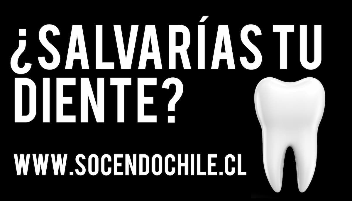 ¿Salvarías tu diente?